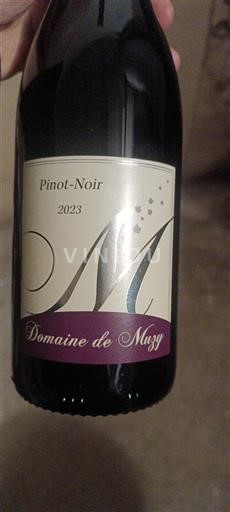 Burgundi Bourgogne Domaine Muzy Pinot-Noir 2023