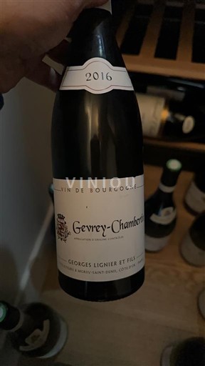 Borgogna Gevrey-Chambertin Georges Lignier et Fils 2016