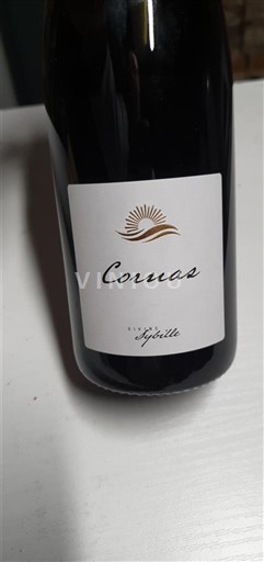 Rhônetal Cornas Divine Sybille Ohne Jahrgang