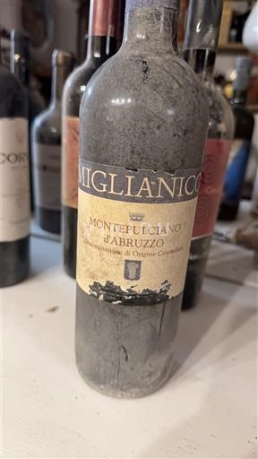 Abruzzo Wines Montepulciano d'Abruzzo Miglianico 2000