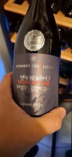 Beaujolais Domaine Des 7 Lieux Moncartier Senza annata