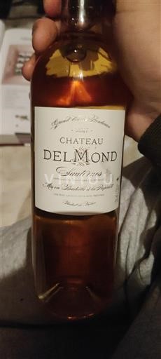 Vin Blanc liquoreux Château Delmond 2017 France Bordeaux Sauternes AOC