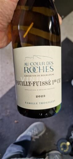 Bourgogne Ikke specificeret Premier Cru Famille Trouillet Au Coeur des Roches 2023