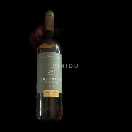Lisbon Lisboa Vin régional de lisboz Charneco 2023