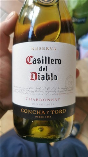 Thung lũng Maipo Maipo Central Concha y Toro Casillero del Diablo Reserva 2024