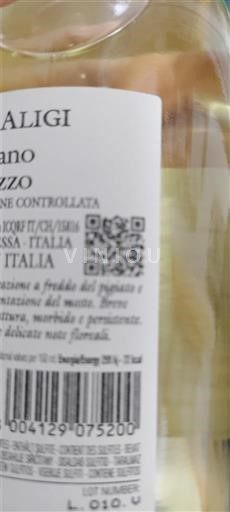 Abruzzo Trebbiano d'Abruzzo Aligi Ei vuosikertaa