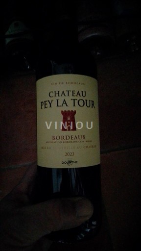 Burdeos Bordeaux Château Pey La Tour 2023
