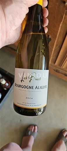 Burgundi Bourgogne Aligoté Les Buis 2024