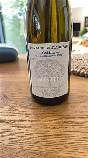 Thung lũng sông Loire Muscadet Sèvre et Maine Domaine Bretaudeau Gabbro "Clos des Bouquinières" 2023