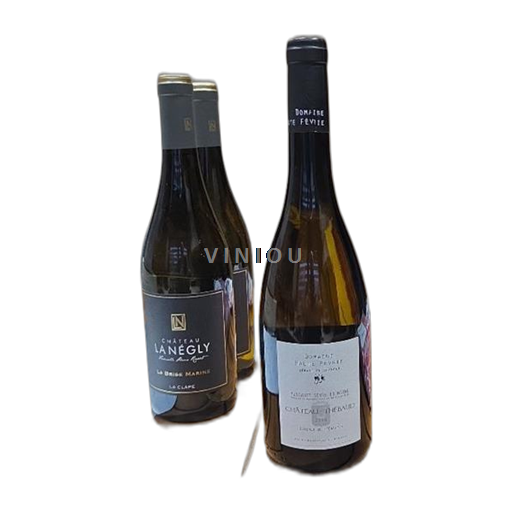 Valle del Loira Muscadet-sèvre-et-maine Domaine Haute Févrie Château-Thébaud 2020