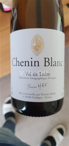 Dolina Loare Florian Mollet Chenin Blanc Neleten.