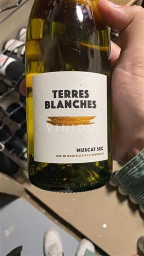 Valle della Loira Muscadet Terres Blanches Senza annata