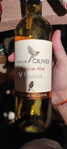 Sydväst Côtes de Gascogne Le Merle Moqueur Faute de Grives je bois du Merle Icke årgångsbetecknad