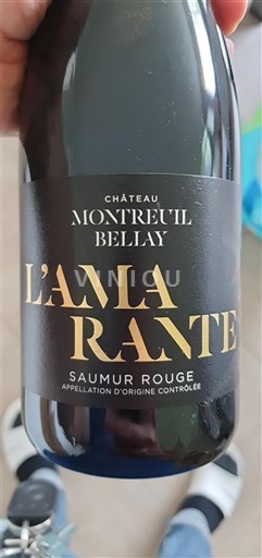 Valle del Loira Saumur Château Montreuil-Bellay L'Amarante 2020