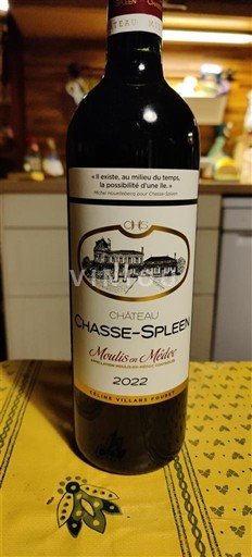 Bordeaux Moulis-en-Médoc Cru Exceptionnel Château Chasse-Spleen 2022