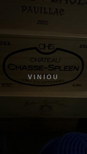 Bordeaux Moulis-en-Médoc Cru Exceptionnel Château Chasse-Spleen 2022