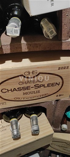 Bordeaux Moulis-en-Médoc Cru Exceptionnel Château Chasse-Spleen 2022