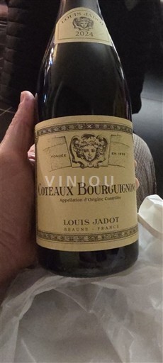 Burgundia Dealurile Burgundiei Louis Jadot 2024