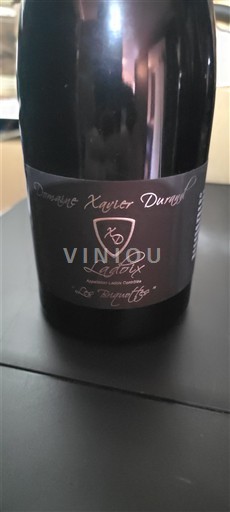 Borgogna Ladoix Domaine Xavier Durand Les Briquottes 2022