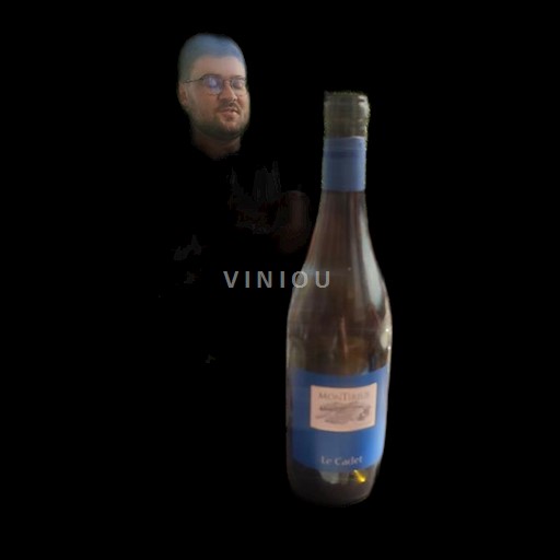 Rhônetal Côtes du Rhône Domaine Montirius Le Cadet 2023