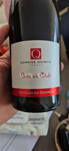 Valle della Loira Coteaux-du-giennois Domaine Quintin du Chalet 2022