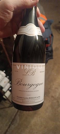 Borgogna Domaine Lucien Boillot & Fils 2022