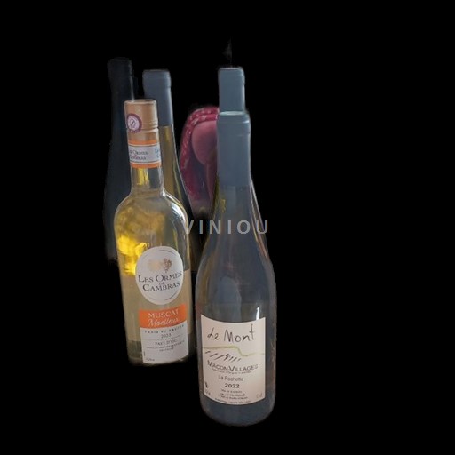 Vin Blanc sec La rochette Domaine Le Mont 2022 France Vallée de la Loire Vouvray AOC