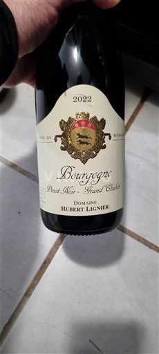 Borgogna Domaine Hubert Lignier Pinot Noir - Grand chaliot 2022