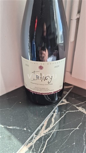Borgonha Irancy Domaine Saint-Germain 2020