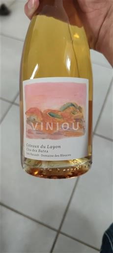 Loirevallei Coteaux du Layon Domaine Des Blottières Clos des Brûla Niet-geïntegreerd