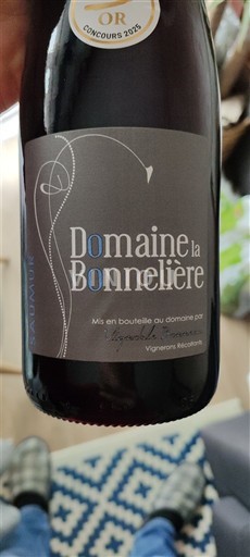 Valle del Loira Saumur Domaine La Bonnelière 2024