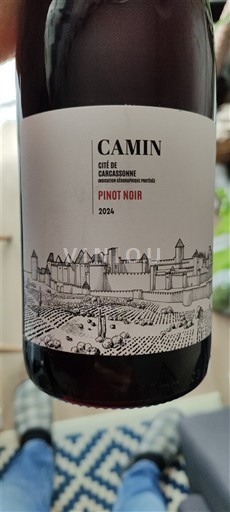 Languedoc och Roussillon Cité de Carcassonne Camin Pinot Noir 2024