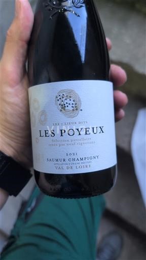Vallée de la Loire Saumur-champigny Les Poyeux 2021