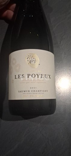 Loire-dalen Saumur-Champigny Les Poyeux 2021
