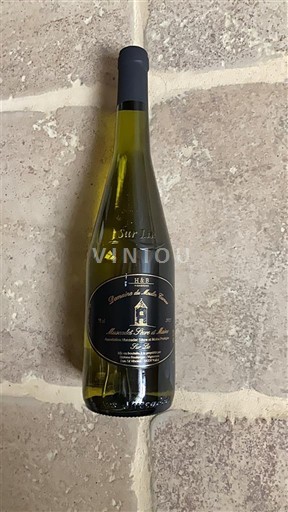 Thung lũng sông Loire Muscadet Sèvre et Maine Domaine Des Roches Neuves Sur Lie Không niên vụ