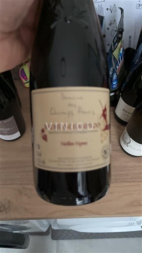 Valle della Loira Saumur-Champigny Domaine Des Champs Fleuris Vieilles Vignes Senza annata