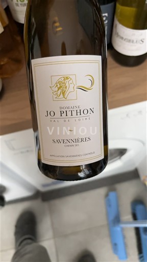 Vallée de la Loire Savennières Domaine Jo Pithon Non Millésimé