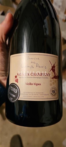 Valle della Loira Saumur-Champigny Domaine Des Champs Fleuris Vieilles Vignes 2024