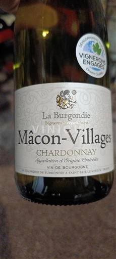 Burgundy Mâcon and Mâcon-Villages La Burgondie Non-Vintage