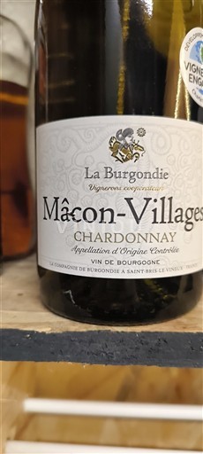Burgundy Mâcon and Mâcon-Villages La Burgondie Non-Vintage