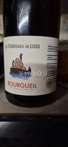 Loiren laakso Bourgueil Les Tribordais de Loire Ei vuosikertaa