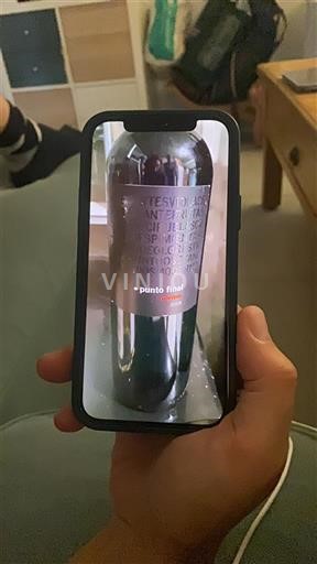 Mendoza Punto Final 2009