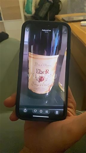 Alsace Eber Rouge d'Ottrott 2019