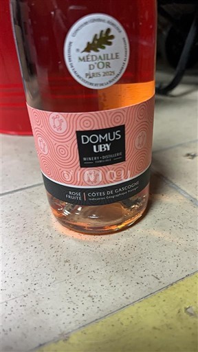 Sudoeste Côtes de Gascogne Domaine Uby Domus Sin añada