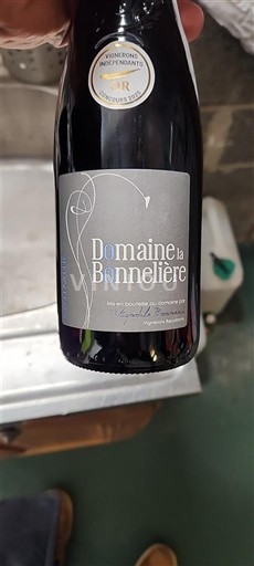Loiredalen Saumur-champigny Domaine La Bonnelière 2024