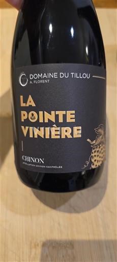 Valle della Loira Chinon Domaine Tillou La Pointe Vinière 2019