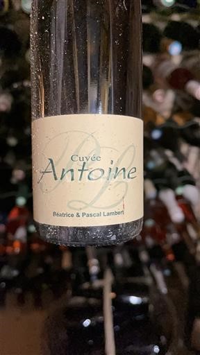 Údolí Loiry Chinon Béatrice & Pascal Lambert Antoine 2008