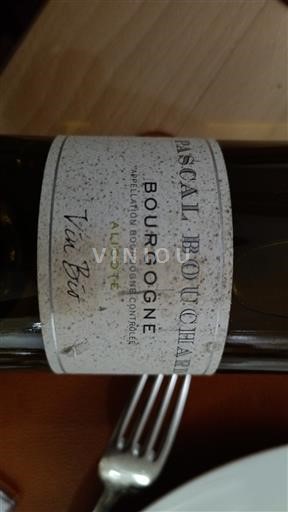 Bourgondië Bourgogne Aligoté Pascal Bouchard Vieil Bio Niet-geïntegreerd
