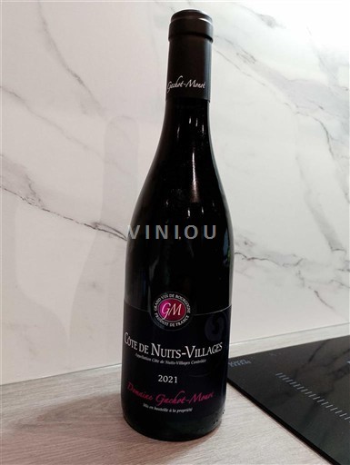 Burgundy Côte de Nuits Villages Domaine Gachot-Monot 2021