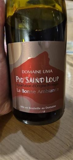 Languedoc Pic-saint-loup Domaine Uma La Bonne Ambiance 2024